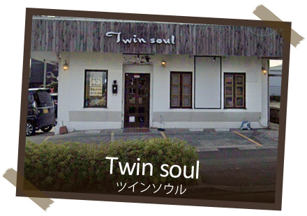 Twin soul